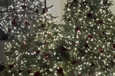 Kim Kardashian takes fans inside Kourtney’s porch with SEVEN Christmas trees covered in roses & ..