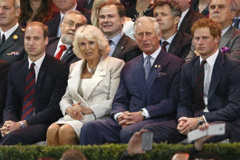 Inside Prince Harry and William’s relationship with Camilla from ‘nervous’ first meeting to ‘icy’..