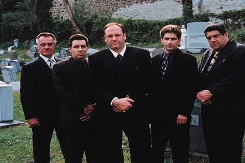 Where the Sopranos cast is now, from award- winning film roles to addiction battles and rehab