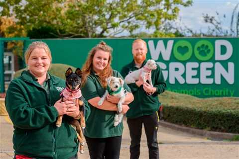 Who runs The Dog House animal charity?