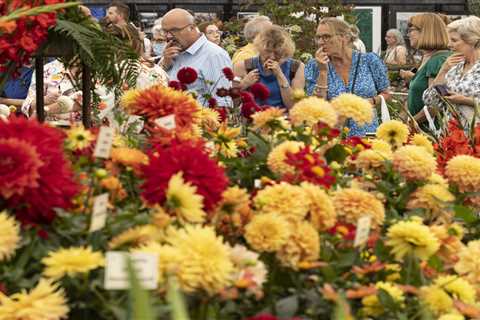 Chelsea Flower Show 2022 – full TV schedule and how to watch it online