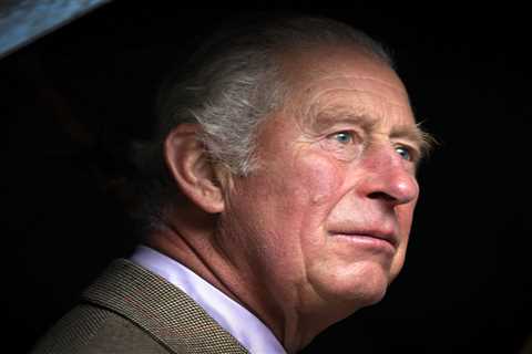 Prince Charles & No10 in major diplomatic row over royal’s comments on Rwanda policy