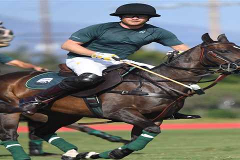 Prince Harry takes a tumble as he plays polo after returning to LA in first sighting since Platinum ..