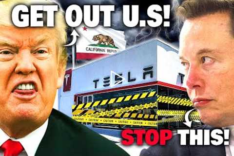 Elon Musk Exposed Donald Trump to make Tesla Get out of California!