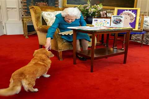 The Queen’s beloved corgis and dorgi ‘to get a new home with Prince Andrew and Beatrice’