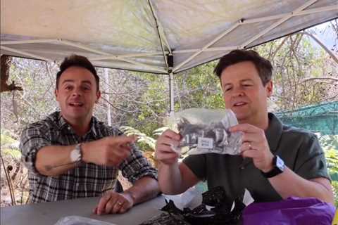 Ant and Dec give first glimpse of I’m A Celeb South Africa as they celebrate Dec’s birthday