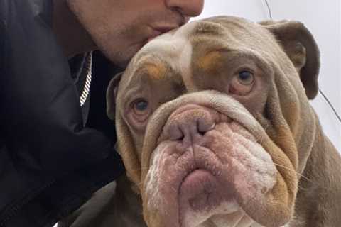 Max George rushes to vet after beloved dog swallows his toy