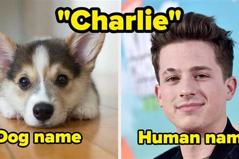 Let's Decide Once And For All If These 40 Names Are More Dog Names Or Human Names