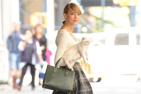 Taylor Swift’s Cat Olivia Benson Is Reportedly Worth $97 Million | Billboard News