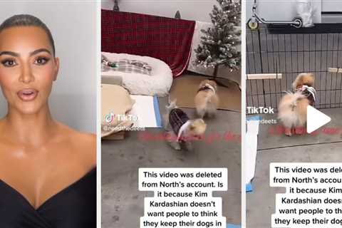 People Are Calling Out Kim Kardashian After She Posted This TikTok Of Her Dogs In Her Garage — And..