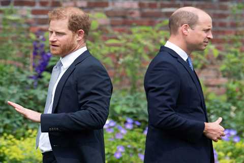 Prince Harry says William ‘attacked’ him & left him knocked to the floor after calling Meg..