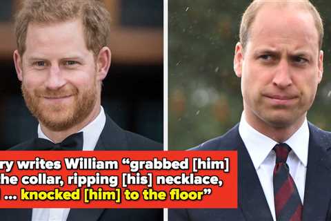 People Are Labeling Prince William A Violent Bully On The News That He Allegedly Attacked Harry In..
