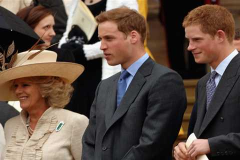 Prince Harry shockingly accuses Camilla of leaking stories and claims she launched campaign to..