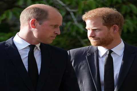 Inside Harry and William’s bitter feud as Duke of Sussex brands his brother his arch nemesis &..