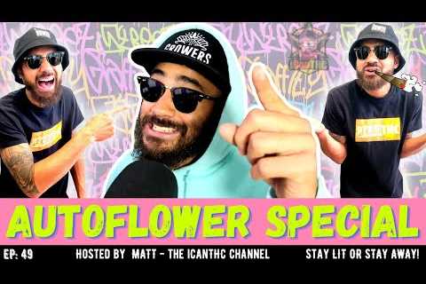 THE TOKE DOWN w/ Matt | Talkin Loud Podcast Ep49