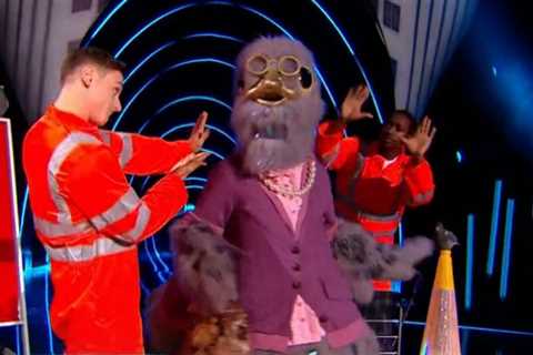 Masked Singer fans ‘confirm’ Pigeon as Netflix star after spotting 13 huge clues