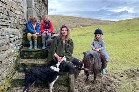 Our Yorkshire Farm fans stunned as Amanda Owen puts children to work with hammers, axes and crowbars