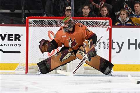 Coyotes vs. Wild prediction, odds Monday, Feb. 6: An underdog pick in the NHL