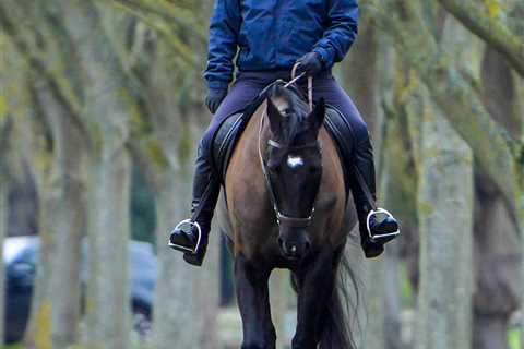 Prince Andrew fears ‘eviction’ from £30m mansion as £250k salary is cut with senior royal quipping..