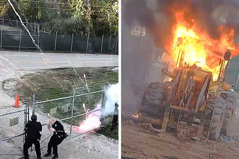 Atlanta Protest Turns Violent Near 'Cop City,' Molotov Cocktails Thrown