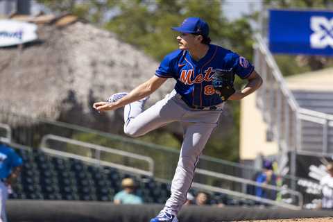 Get to know Stephen Nogosek, the Mets’ emerging six-pitch relief craftsman and tavern builder