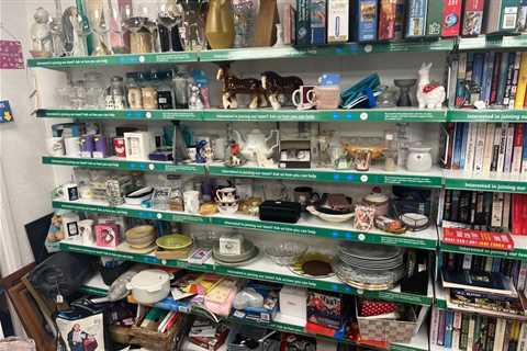 You have the eyes of a hawk if you can spot treasure worth a fortune on charity shop shelf – it’s..