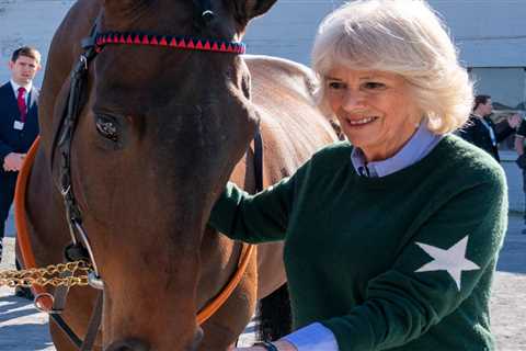 Queen Consort Camilla is ‘too old’ to go horse riding, she reveals