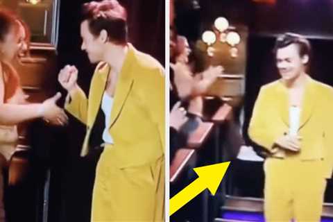 A Harry Styles Fan Fainting After Fist-Bumping Harry Is Going Viral, And I Hope She's Okay