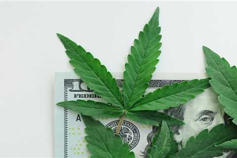 New Report From Marijuana Policy Project Examines Eight Years of Cannabis Tax Revenue