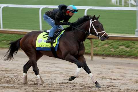 Kentucky Derby horses and their storied names: Family, friends, and a hunt for luck