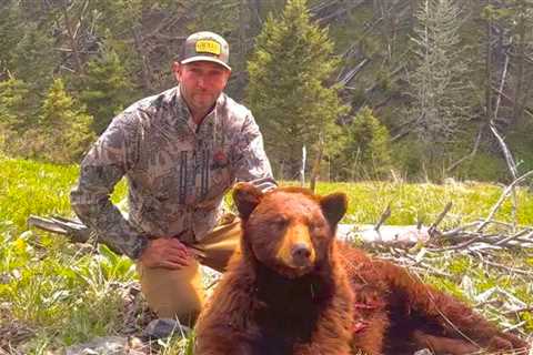 Jay Cutler Kills Bear During Hunt In Montana