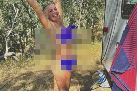 Pink Posted A Nude Pic Of Herself On Instagram, So Here It Is