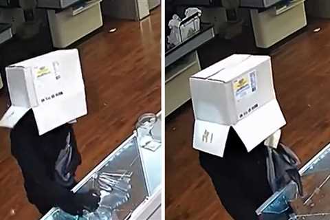 Thief Wears Box on His Head While Burglarizing Miami Store