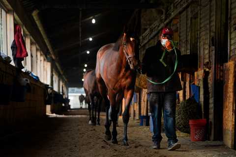 Belmont Stakes could get canceled as Gov. Hochul sets air quality measures due to wildfire smoke