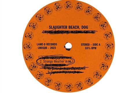 Slaughter Beach, Dog – “Strange Weather”