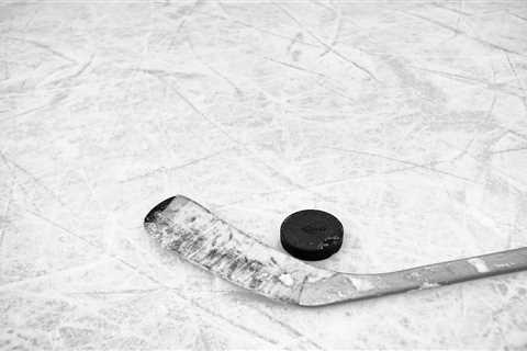Pro hockey player arrested in Poland for allegedly belonging to a network of spies: officials