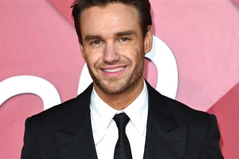 Liam Payne Explained How His Controversial Comments About One Direction Last Year Landed Him In..