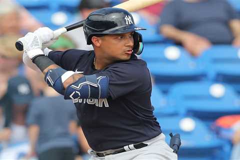 Could promising prospect Everson Pereira be the eventual answer for the Yankees’ question mark in..