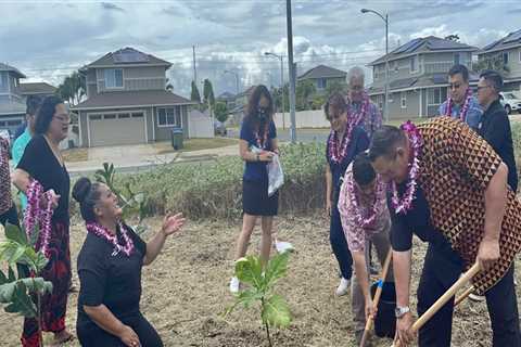 The Impact of Economic Policies on Filipino Americans in Hawaii: A Comprehensive Overview