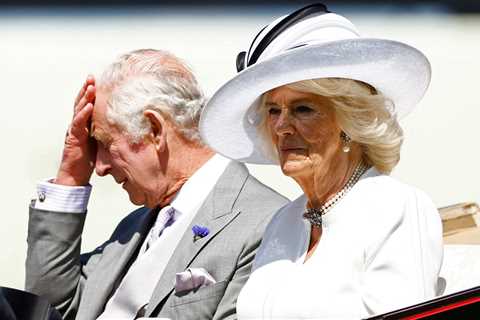 Camilla pinches ‘exciting’ horse left to King Charles by the late Queen and sends him to new trainer