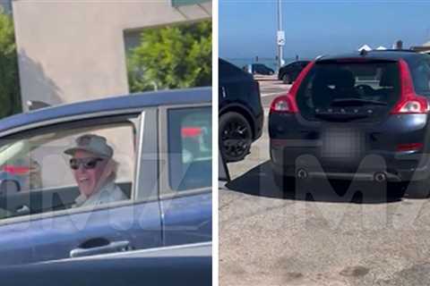 Gary Busey Allegedly Involved In Hit-And-Run, Woman Records Confrontation on Video
