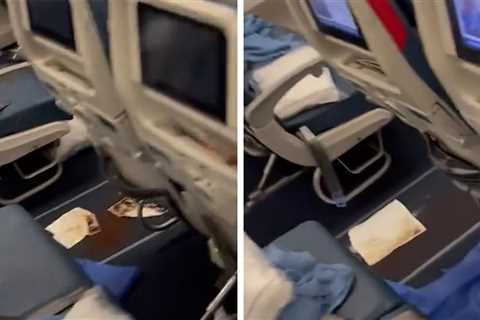 Video Surfaces Showing Alleged Aftermath of Poop Plane Incident