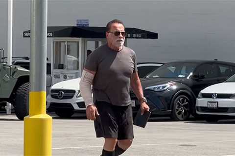 Arnold Schwarzenegger Sporting Arm Cast After Undergoing Elbow Surgery