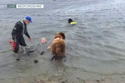 Presenter dragged into lake by dog during chaotic moment on This Morning