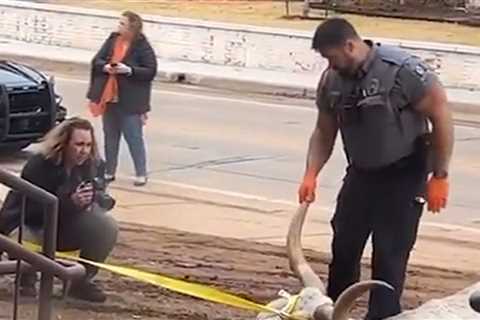 Dead Longhorn Found At Oklahoma State Frat House Before OSU-Texas Big 12 Title Game