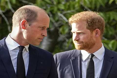 Prince Harry 'Open to Reunion with William' - but Spent Night in Hotel