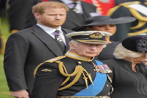 Prince Harry Not Forgiven by King Charles and Prince William, Says Royal Expert