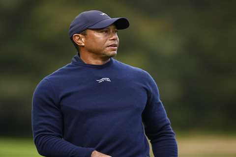 Tiger Woods’ absence is hanging over Players Championship:  ‘Heartbeat of golf’