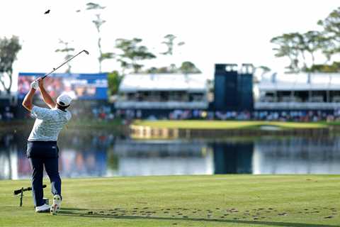 Stadium Course a rare tame test in Round 1 of Players Championship