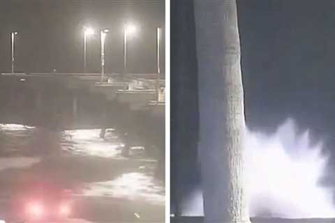 Driver Plunges Into Ocean in Venice Beach With Two Dogs, Video